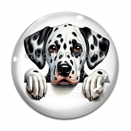 Cabochon Verre - chien