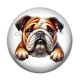 Cabochon Résine -  chien