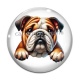 Cabochon Verre -  chien