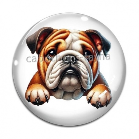 Cabochon Verre -  chien