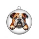 Pendentif Cabochon Argent -  chien