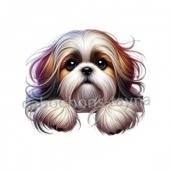  chien