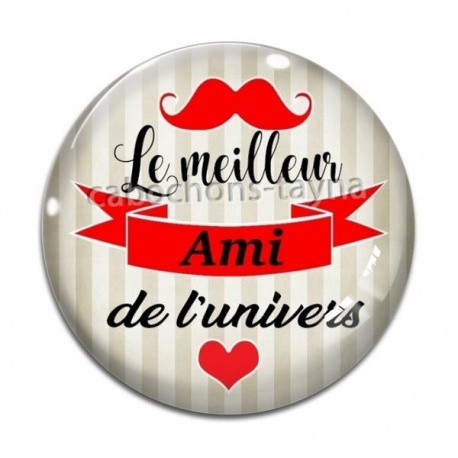 Cabochon Verre - meilleur ami de l'univers