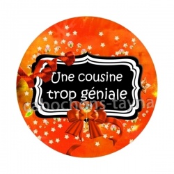 une cousine trop géniale