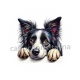 chien
