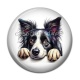 Cabochon Résine - chien