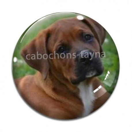 Cabochon Verre - chien