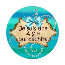  je suis une A.S.H qui déchire