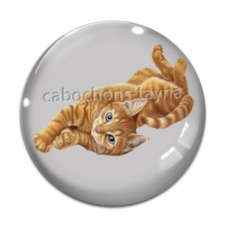 Cabochon Verre - chat