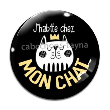 Cabochon Verre - j'habite chez mon chat