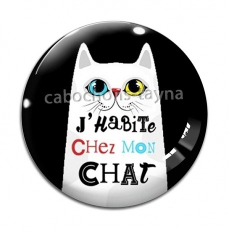 Cabochon Verre - j'habite chez mon chat