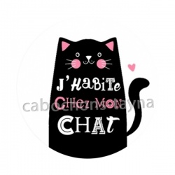 j'habite chez mon chat