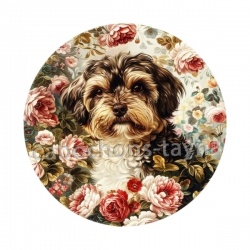 chien