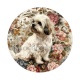 chien