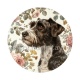 chien