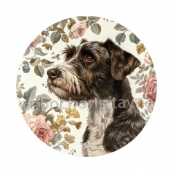 chien