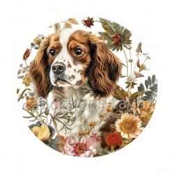 chien