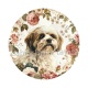 chien