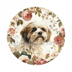 chien