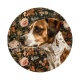 chien
