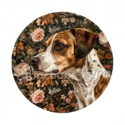 chien