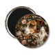 Magnet's - chien