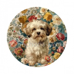 chien
