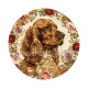 chien