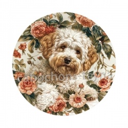chien