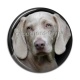 Cabochon Résine - chien