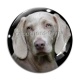 Cabochon Verre - chien