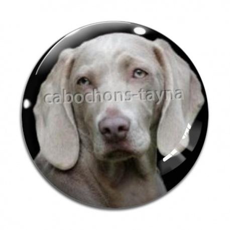 Cabochon Verre - chien