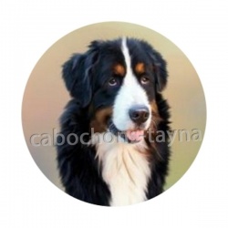 chien