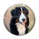 Cabochon Verre - chien