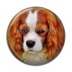 Cabochon Résine - chien
