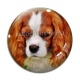 Cabochon Verre - chien