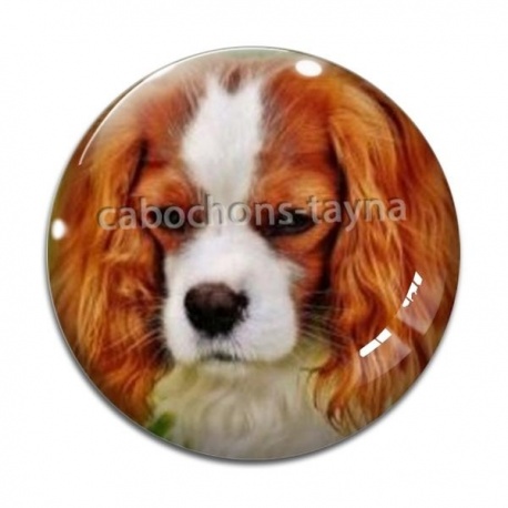 Cabochon Verre - chien