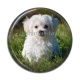 Cabochon Résine - chien