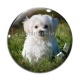 Cabochon Verre - chien