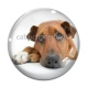 Cabochon Verre - chien