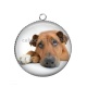 Pendentif Cabochon Argent - chien
