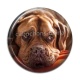 Cabochon Résine - chien