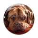 Cabochon Verre - chien
