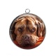 Pendentif Cabochon Argent - chien