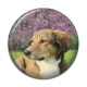 Cabochon Résine - chien