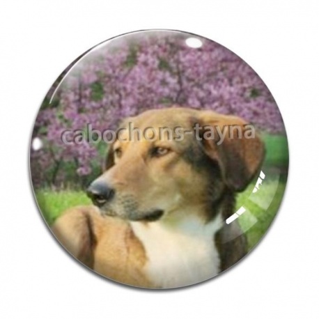 Cabochon Verre - chien