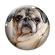 Cabochon Verre - chien
