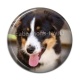 Cabochon Résine - chien