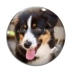 Cabochon Verre - chien