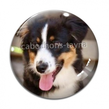 Cabochon Verre - chien